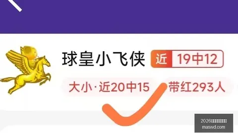 2026世界杯，世界杯买球，投注买球 095307
